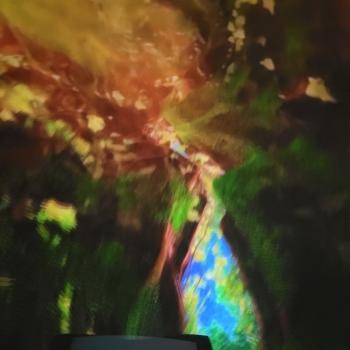 20250527_094638