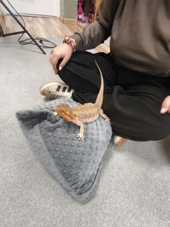 mvimg_20251013_091338_1