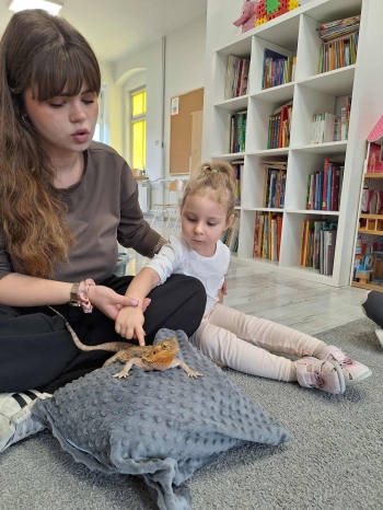 0b6d18f8-fd33-41d9-9b76-48222618567b