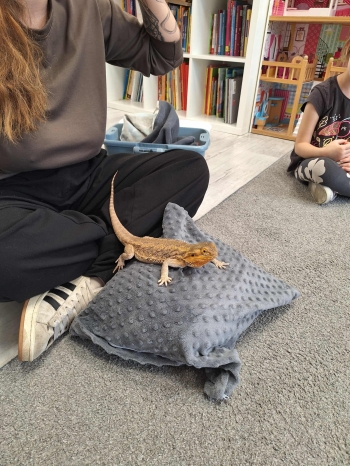 00f28db9-e7d2-4d92-95e2-9567715bb3b1