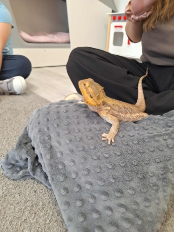 1e859ee3-1683-4beb-b06d-c67f36bca6e8