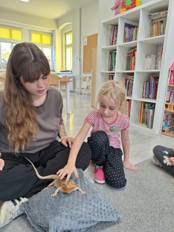 04b96d81-c728-4686-9718-51f9b6e098cc (1)