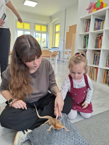 7d06002d-5133-4297-8072-a627cd4dab32