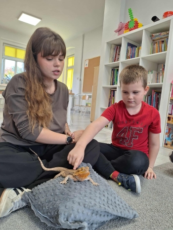 8afd58fe-569d-422b-ad8b-48ed83565726