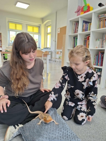 44d2c5c9-ca29-4669-bc87-da865e37a04b