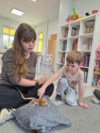 0046e03b-9c50-4136-9b1e-036e55711b24