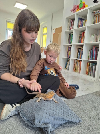 71a929c2-2b79-4add-894a-8c05122f16e1