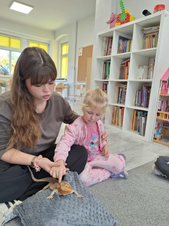 91d7db1c-6313-402f-8446-6dcde154d4b7