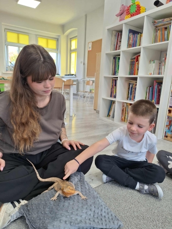 acdf8ec4-2856-49d1-8ff8-cbf4fd1ec3cb