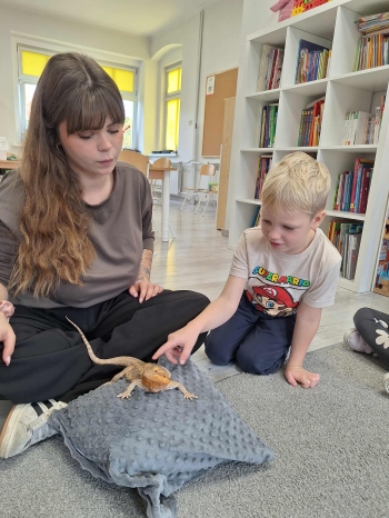 f3c5e5c3-55c4-4fd3-a29b-6379e2ab08f3