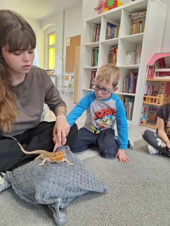 f8e29323-00c6-4e98-840c-b56e5619f733