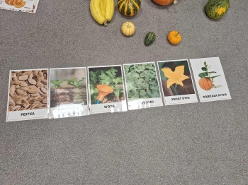 5f2a6050-e401-424b-84bf-b48ecbfe74bc