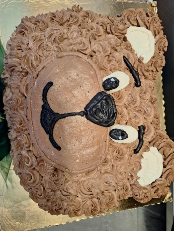 e8ff430a-e9d5-454c-979d-d5ce9ae6c5c3