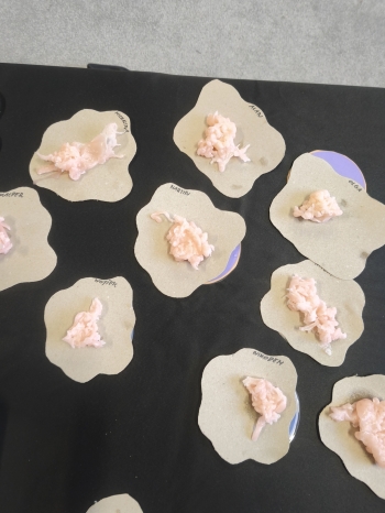 mvimg_20251127_105821