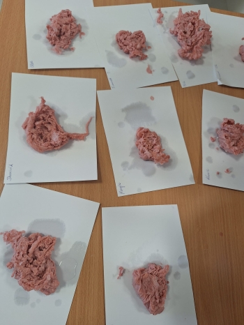 4f8b8b23-1a23-4c2f-aa67-9230015c901f