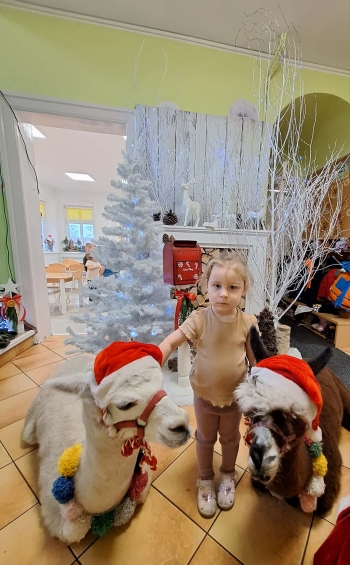 7fd0c914-7cd7-425b-8116-c249ade77539