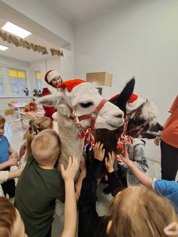 9e7e6310-6525-47d7-b4e9-0a9d56f4d11e