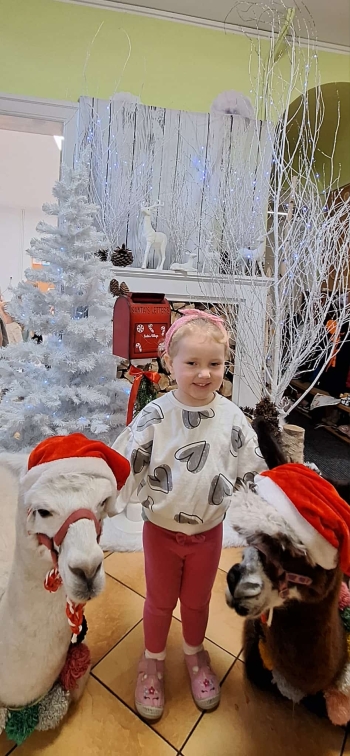 15e95c81-0674-44bc-ad03-d146d0d67feb