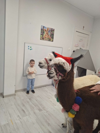 33be41ee-cdc8-4c0a-9e1d-c07e1566b08b