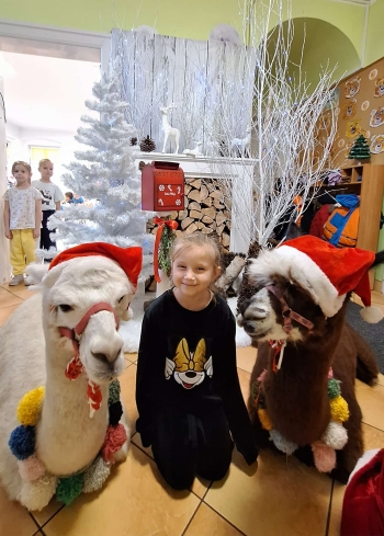 50a0e76d-3357-4855-91b6-01b5282e8911