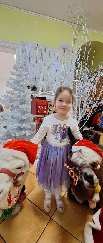 93b9887c-adda-4140-aa68-9912e9d22ffc