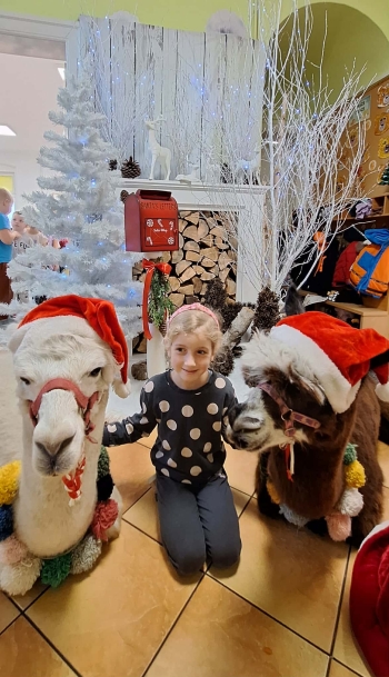 374d8729-21eb-48c8-9739-aa960db7c7c1