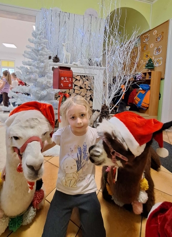 1919f97d-0fb1-4e15-8bf6-a4423b014117