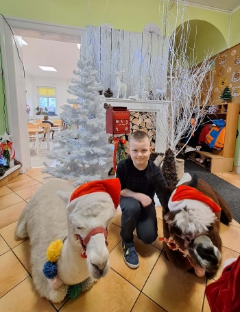 8401ada5-ead5-4807-952a-c03bd1d3b828