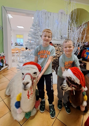 b3ba3995-5660-4760-ab8f-b0dac053b1a9