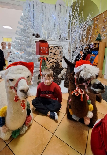 c0ef6078-7375-443e-a3ae-f1f3227dd425