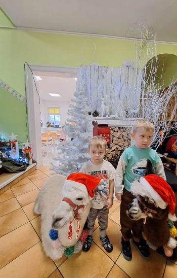 c050b45b-5b63-41fd-b1ec-04fb4aca178e