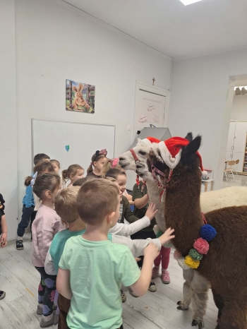 cedca23a-d4e7-4c11-9fd5-9f7f55af8d8a