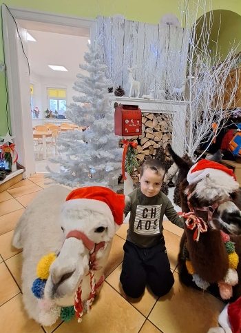 df44ba4f-3ea1-472c-a2fa-e9b56bf4c00f