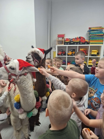 f91e0182-247b-41a7-9d94-c82625b89ad3