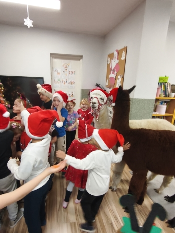 mvimg_20251204_095205