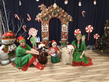 mvimg_20251204_100248