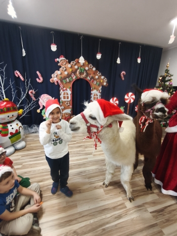 mvimg_20251204_101605