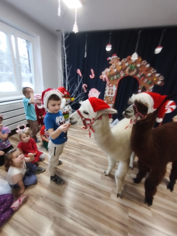 mvimg_20251204_101618