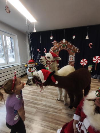 mvimg_20251204_102001