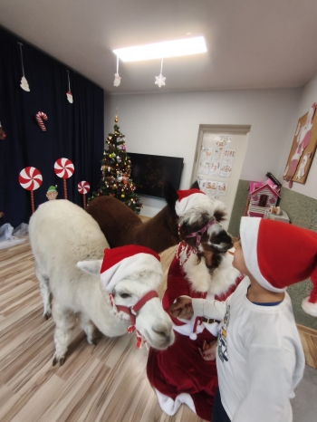 mvimg_20251204_102056