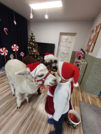 mvimg_20251204_102102