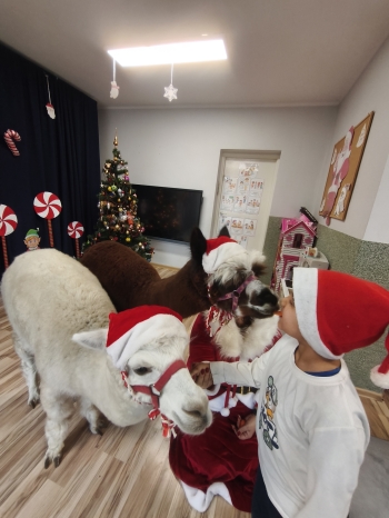 mvimg_20251204_102057