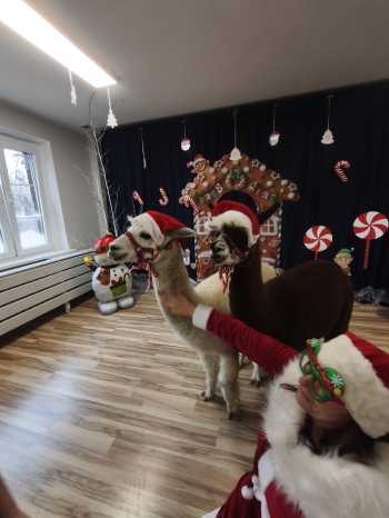 mvimg_20251204_102225