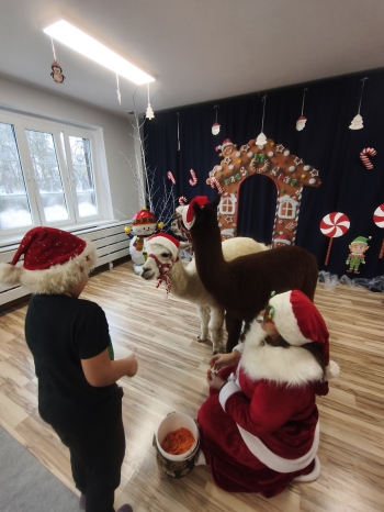 mvimg_20251204_102511