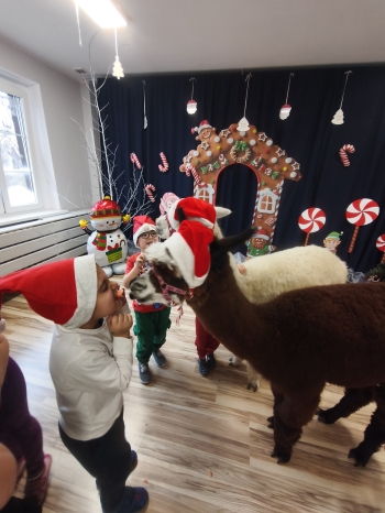 mvimg_20251204_103034_1