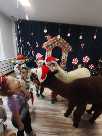 mvimg_20251204_103052