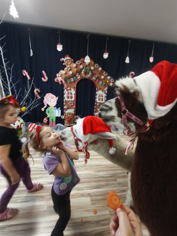 mvimg_20251204_103259_1