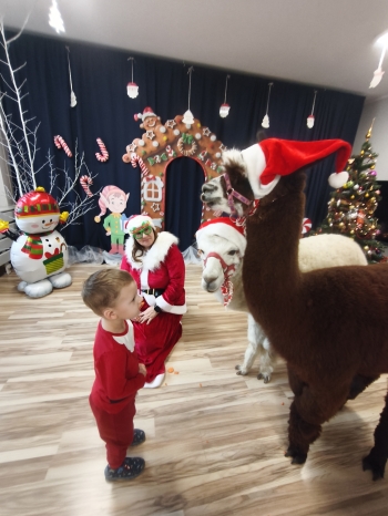 mvimg_20251204_103545