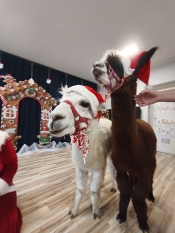 mvimg_20251204_103638