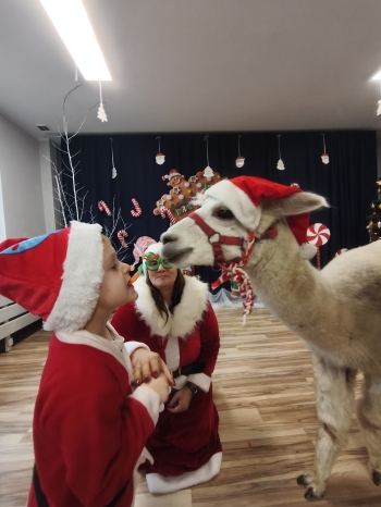 mvimg_20251204_103658